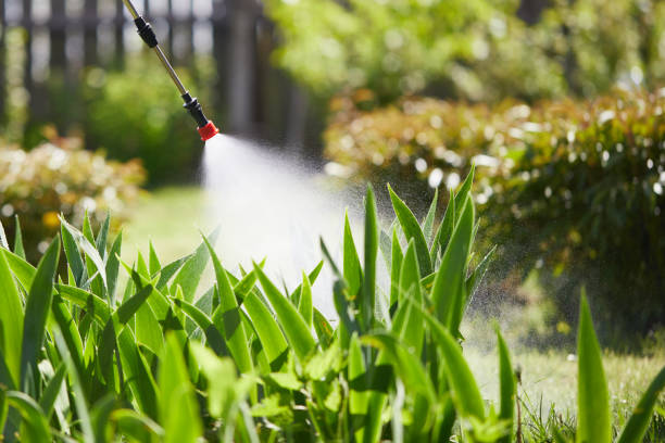 24/7 Emergency Mosquito Control experts in Russell Springs, KY